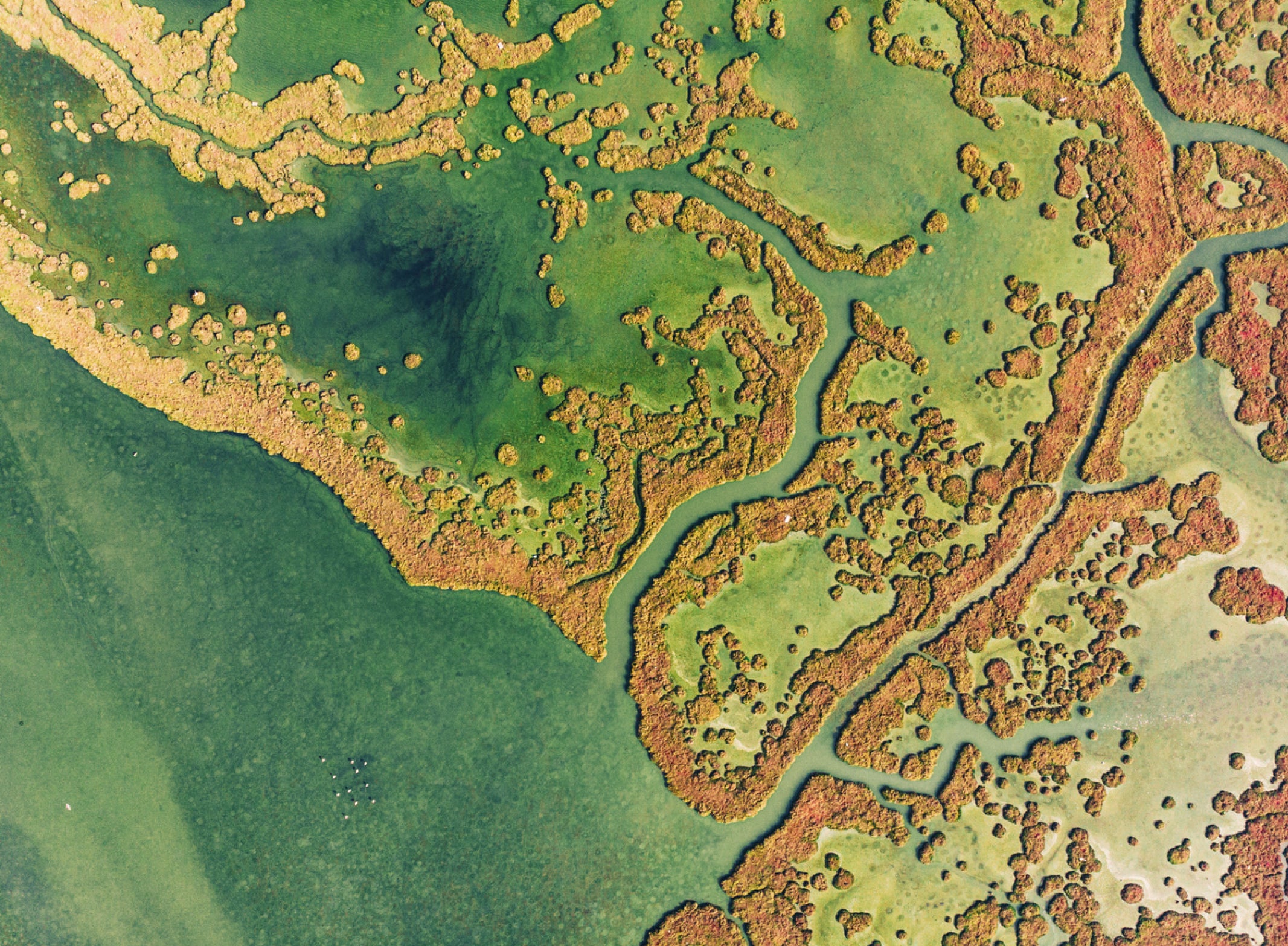 My Formula: Dr. Tiffany Lester on environment and skin