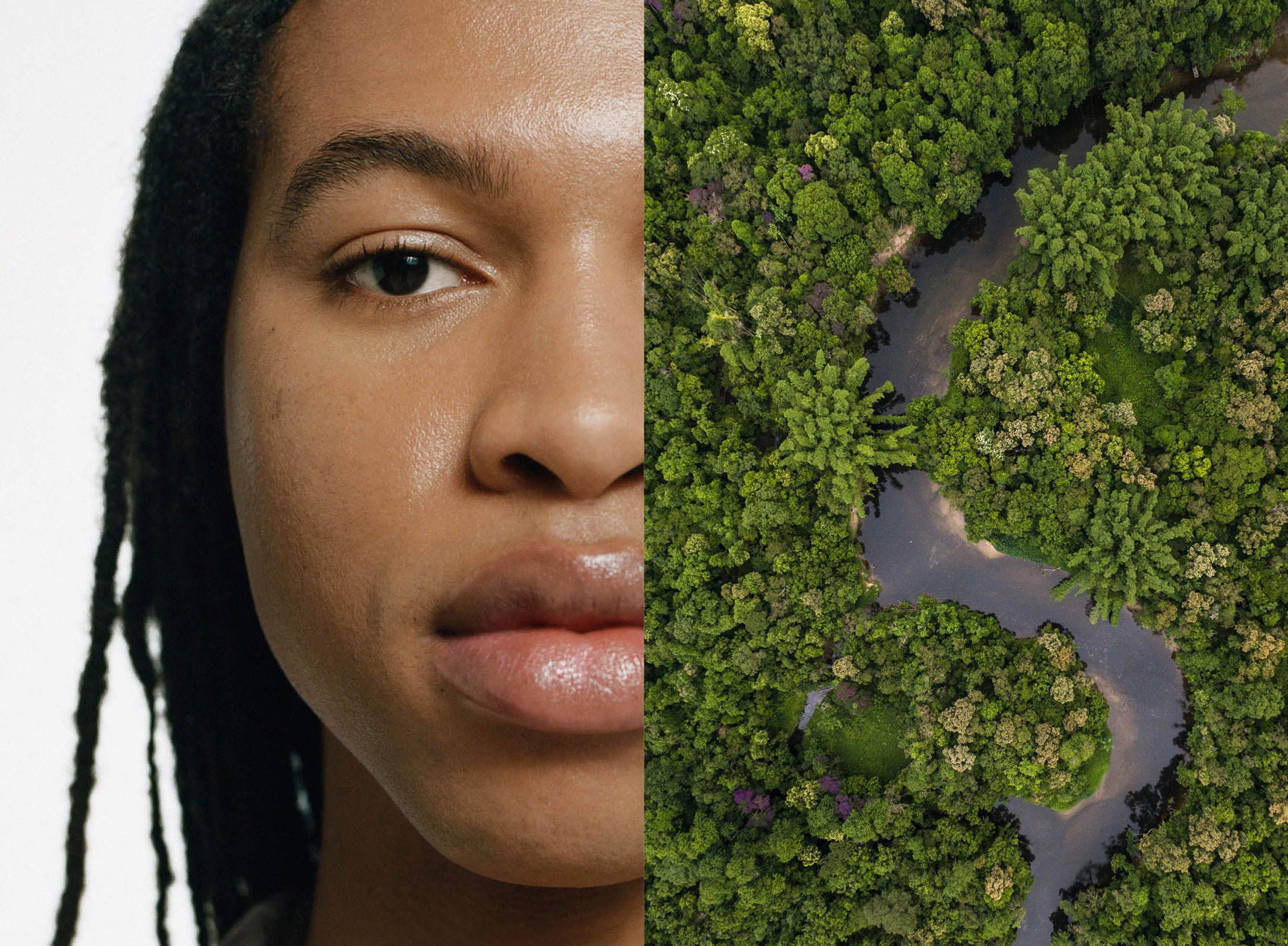 The landscape of skin