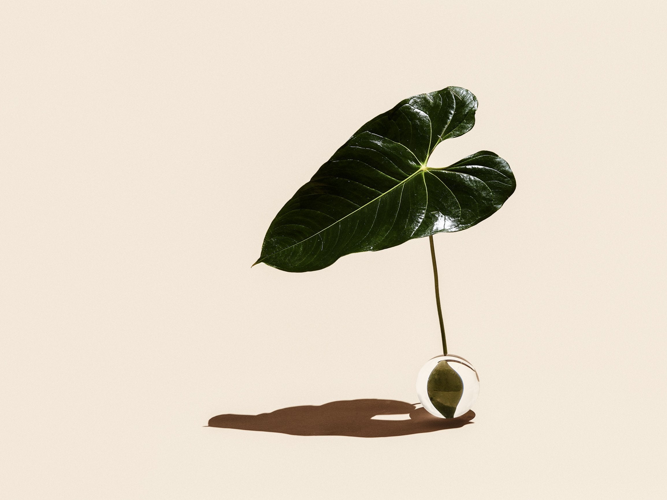 Taking Up a Hobby Could Boost Your Career