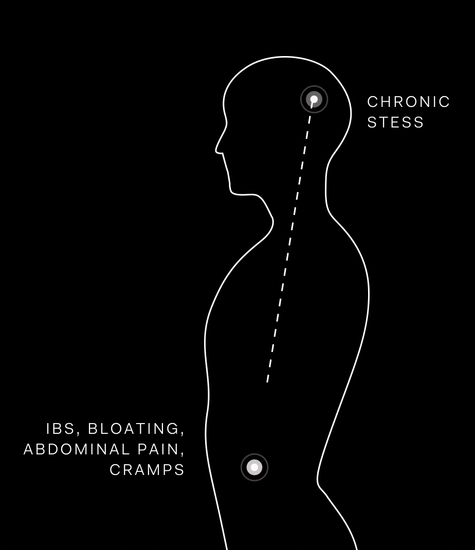 What is the Gut-Brain Axis?